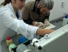 Os Médicos Veterinários Raphael Vieira Ramos e Gabriela Rebelo,  formados pela FESB, fazendo um procedimento anestésico em um canário (Serinus canaria).